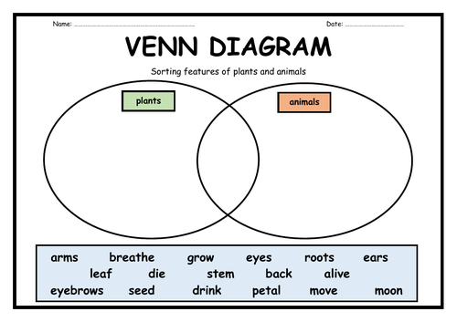 Year 2 Venn Diagram - sorting animals and plants