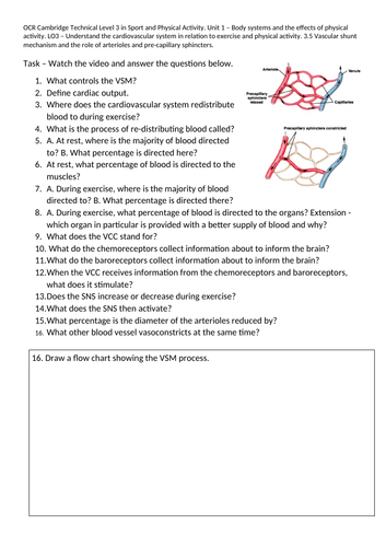 3.5 Vascular shunt mechanism and the role of arterioles and pre-capillary sphincters worksheet