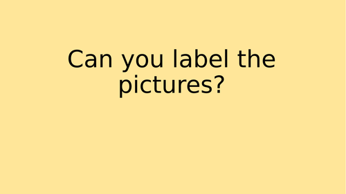 Can you label the picture? Powerpoint