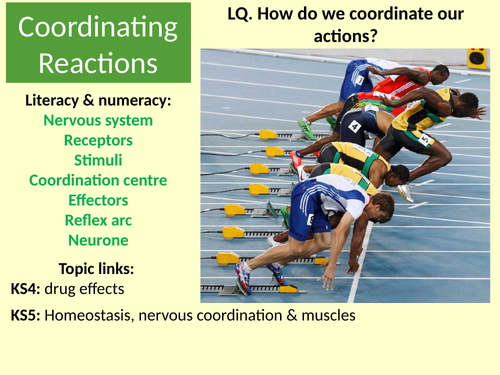 AQA. GCSE. Biology. Homeostasis. 2. Coordinating reactions.