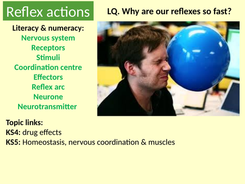 AQA. GCSE. Biology. Homeostasis. 4. Reflex actions