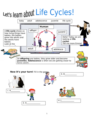 human life cycle printables