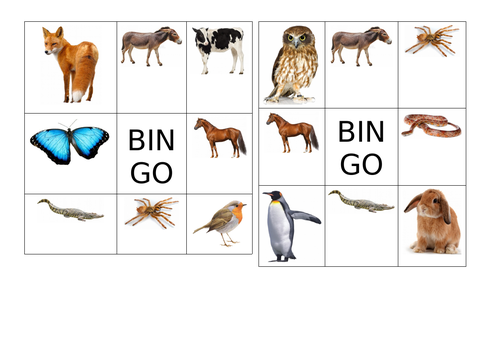 bingo animals