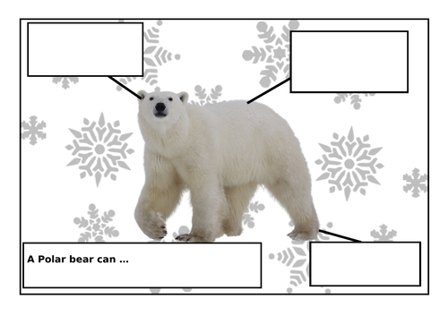 Labelling a Polar Bear