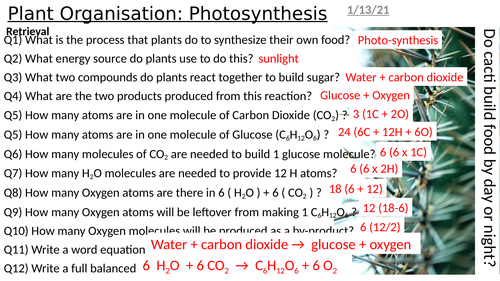 Plant Organisation (transport and structure)