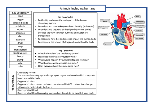 all-year-6-science-knowledge-organisers-teaching-resources