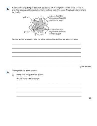 AQA GCSE Biology (9-1) B8.3 How plants use glucose FULL LESSON