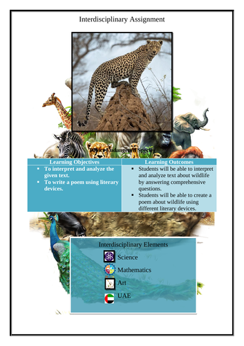 Interdisciplinary Assignment