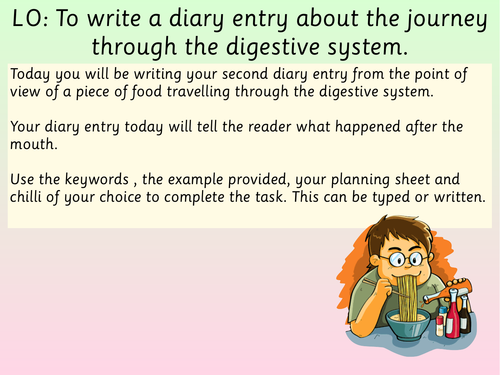 Diary Entry- Year 4- Journey through the digestive system.