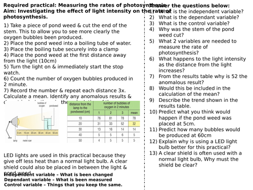 Required Practical - Rates of photosynthesis worksheet foundation (SPEC 4, AQA)