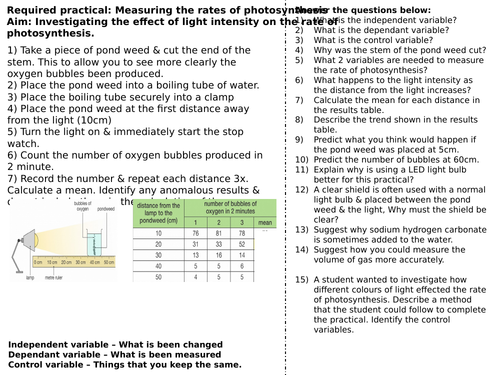 Required Practical - Rates of photosynthesis worksheet higher (SPEC 4, AQA)