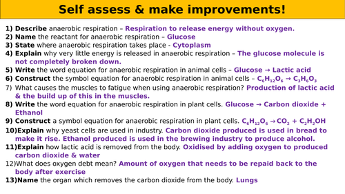 Anaerobic Respiration worksheet (Higher) (SPEC 4, AQA)