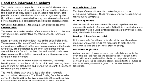 Metabolism worksheet (Higher) (SPEC 4, AQA)