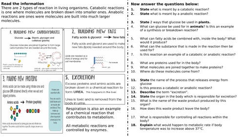 Metabolism worksheet (Foundation) (SPEC 4, AQA)
