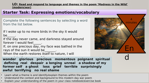 Y9 War Poem Iraq 'Madness in the Wild' adapted for Teams