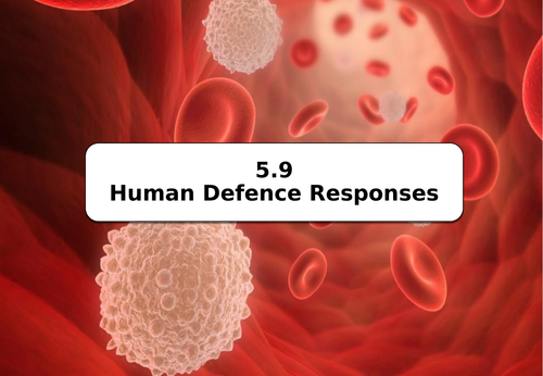 AQA GCSE B5.9 Human Defence Responses (NEW SPEC)