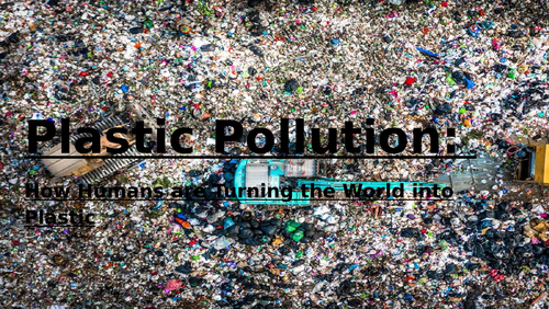 Plastic Pollution PPT/Lesson