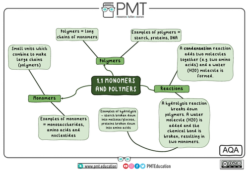 AQA A-level Biology Mindmaps