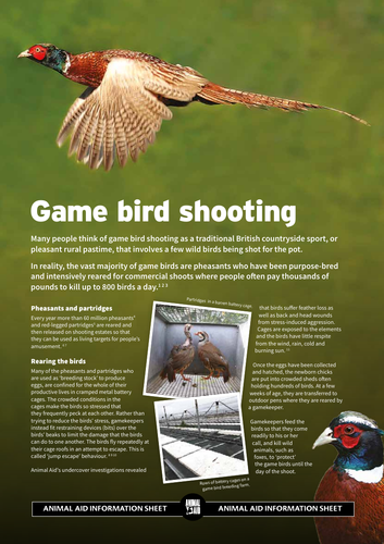 Game bird shooting factsheet