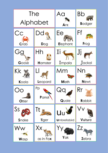 alphabet chart animals blue phonetic teaching resources