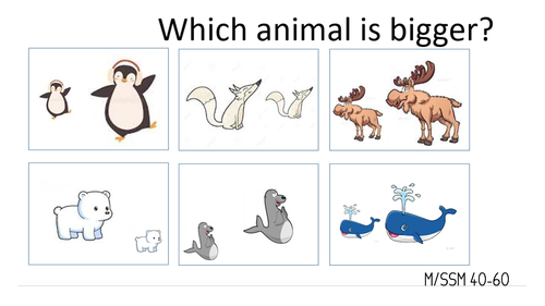 Arctic Maths Early years
