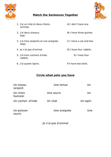 Pets - activity sheet French