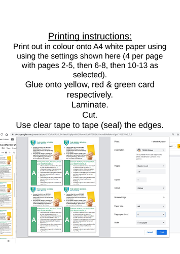 Behaviour Management Yellow & Red Cards