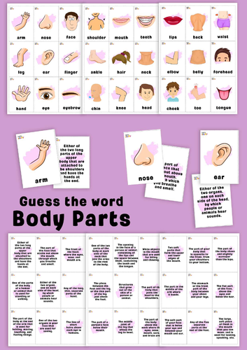 Body parts. Guess the word game.