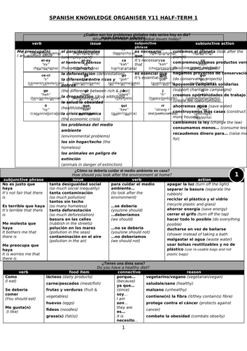 GCSE Spanish environment and global issues sentence builders