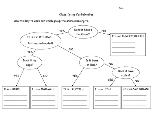 KS2 Worksheet - Classifying Vertebrates/Invertebrates