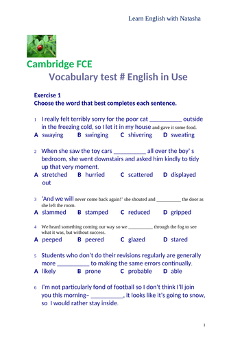 Cambridge English FCE Use of English vocabulary test