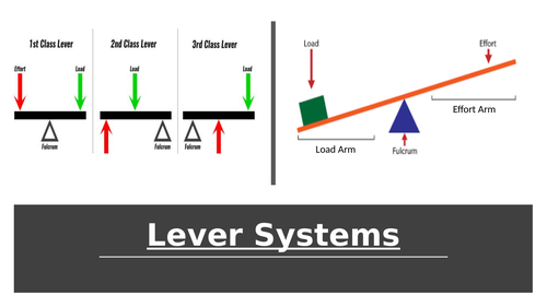 Edexcel GCSE PE Lever Systems Lesson