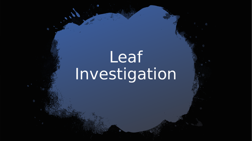 Leaf Investigation