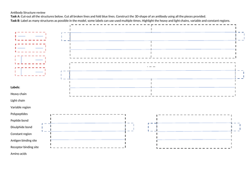 Antibody model building worksheet