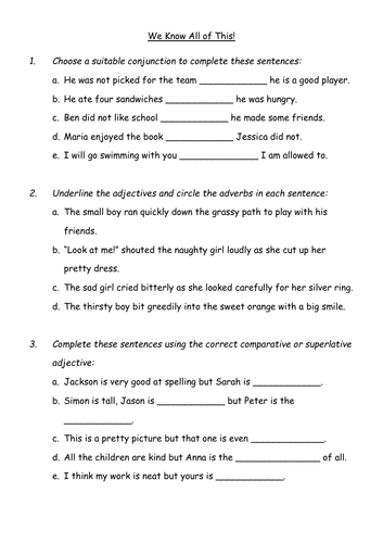 KS2 Worksheet - Literacy Test 3 (2 versions)
