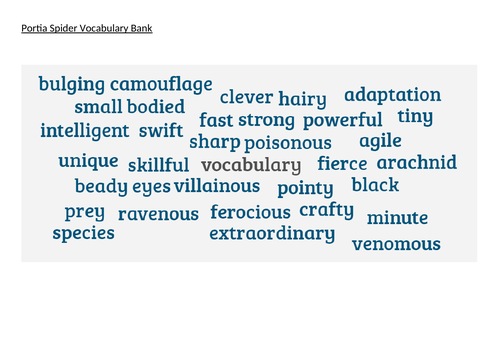 Spider Vocabulary Bank