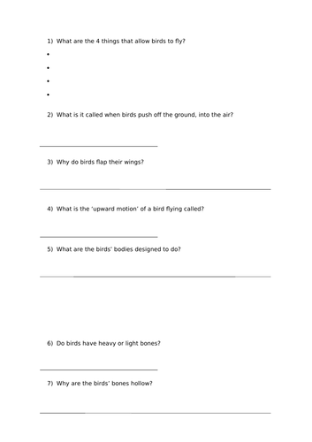 How Do Birds Fly? Comprehension questions