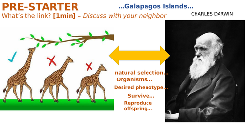 OCR A-Level Biology (H420): Chapter 10 - Classification and Evolution - Evidence for Evolution L4