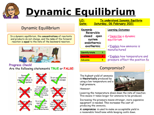 CC12a Dynamic Equilibrium