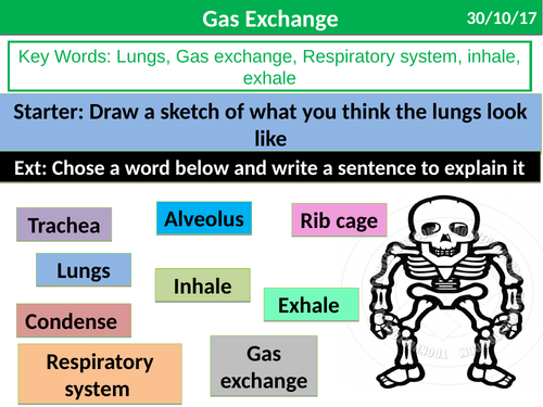 GAs Exchange