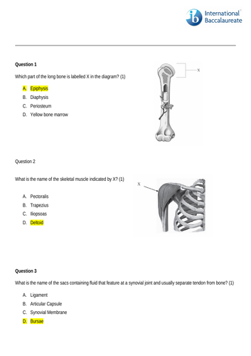 IB Sports Science Mock Exam and Answers
