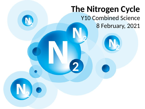 The Nitrogen Cycle