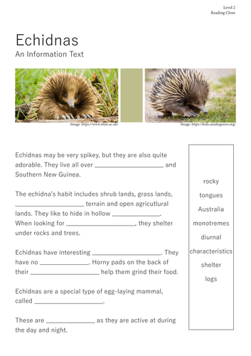 Echidna Information Text - Reading Comprehension