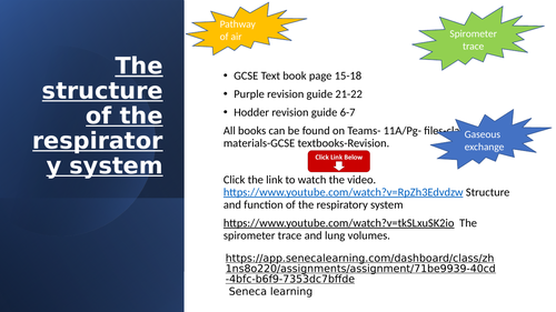 AQA GCSE PE revision. The respiratory system.