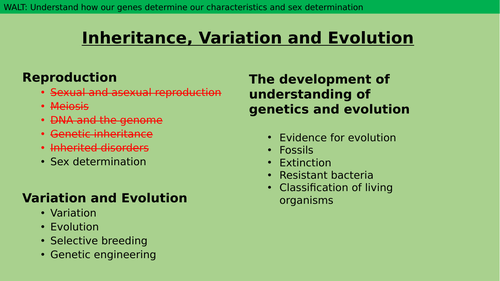 Sex Determination Teaching Resources 7310