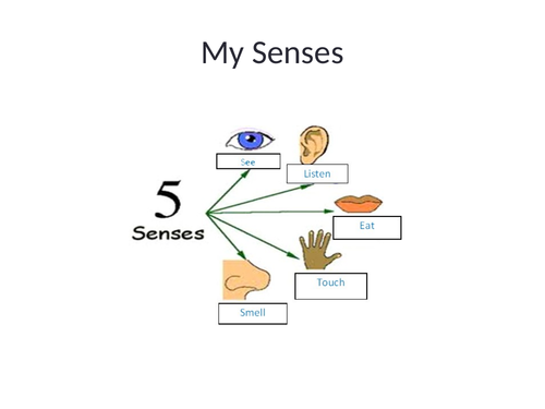 "My 5 Senses" Vocabulary PPT for ESL Learners Grade 3-4