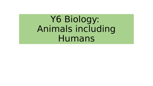 Animals including Humans Y6 BUNDLE KS2 Science