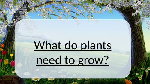 Explore the requirements of plants to grow and investigation