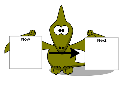 Fun Now Next Boards for SEN