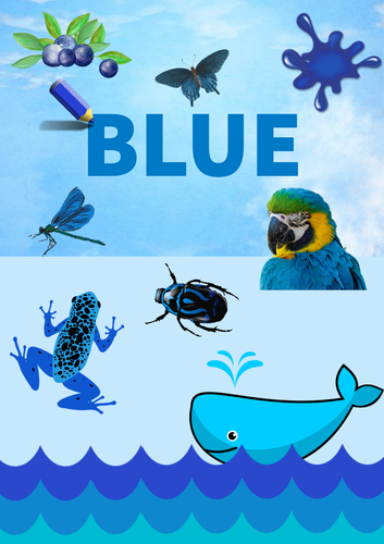 Colour Poster: Blue